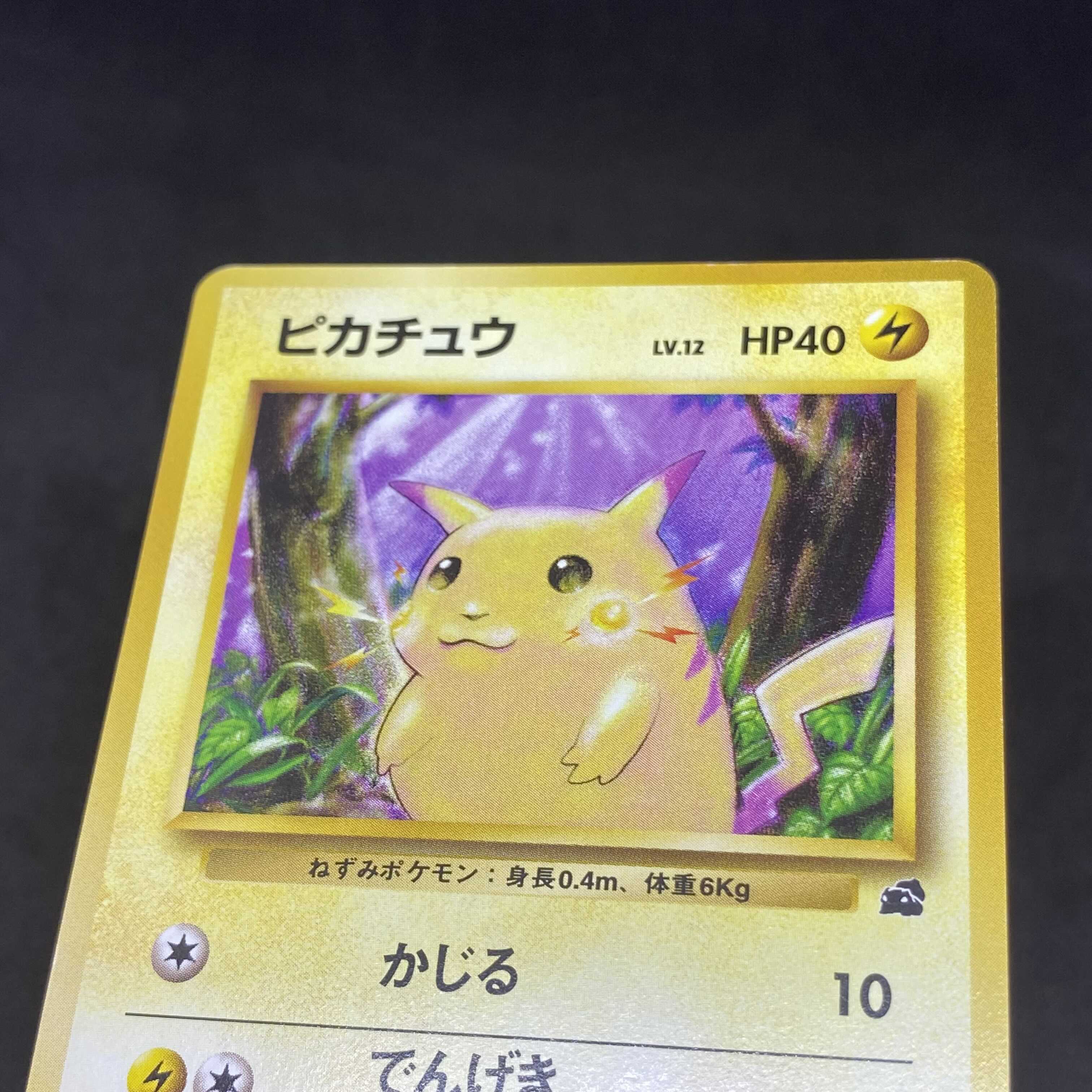 ポケモンカード 旧裏面 ピカチュウ フシギダネマーク イントロパック 1
