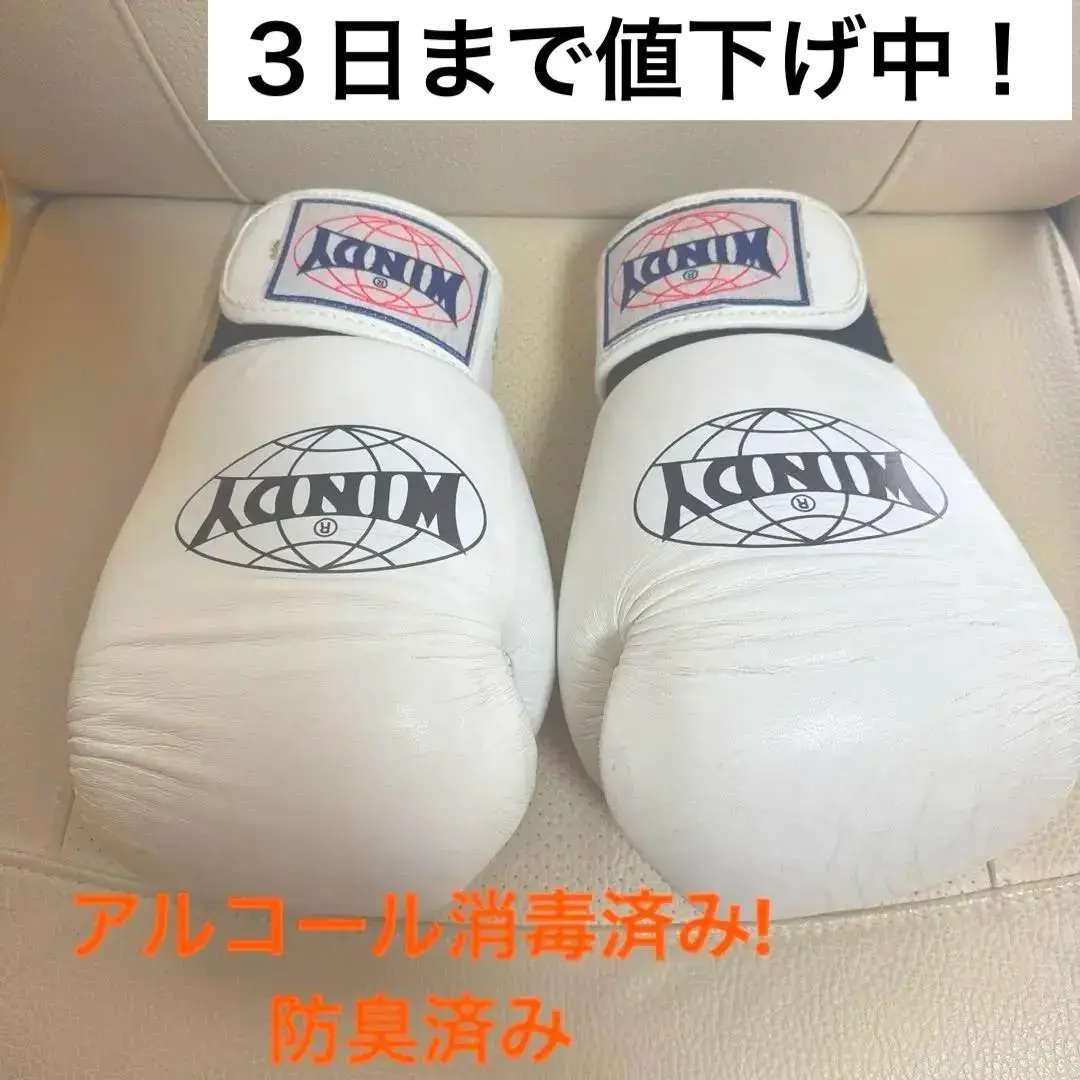 2026年最新】windy グローブ 8オンスの人気アイテム - メルカリ