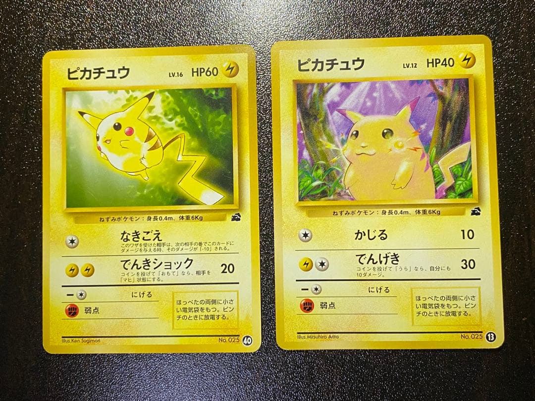 旧裏 イントロパック ピカチュウ 2種　希少　フシギダネマーク NO.25 ピカチュウ LV.16(フシギダネマーク) [旧裏面] No.025 イントロパック